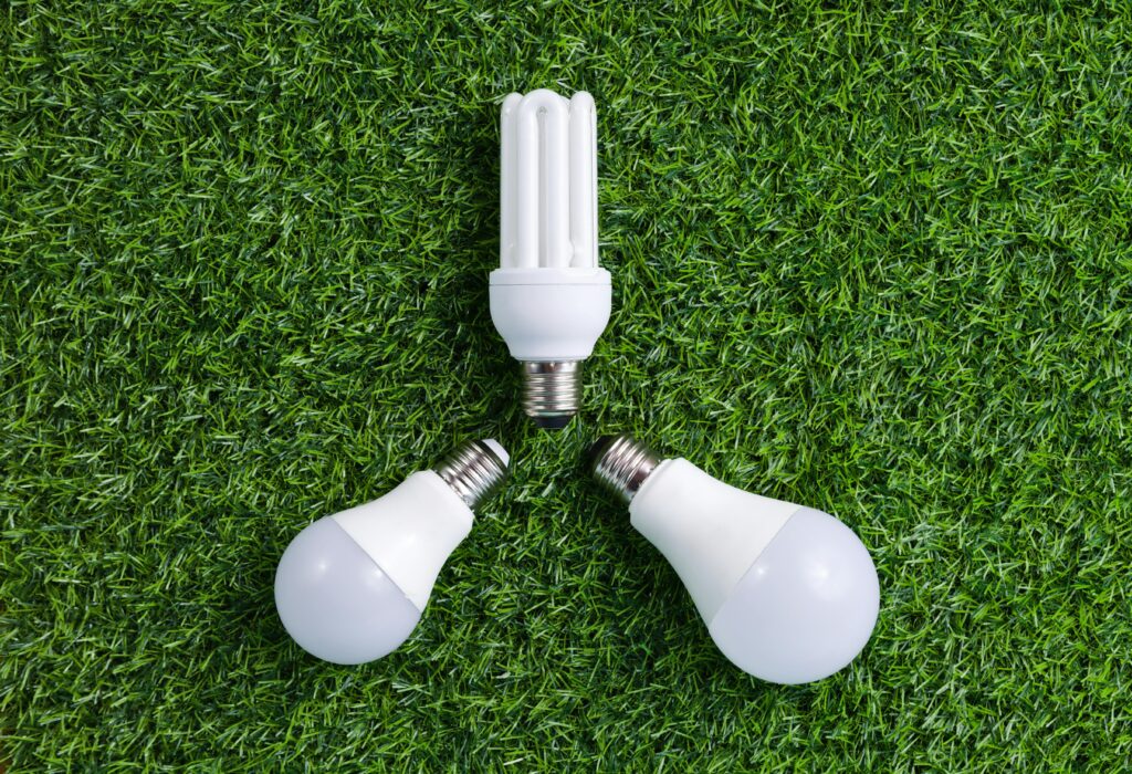 Sample Page Three energy-efficient light bulbs placed on vibrant green grass, symbolizing sustainable energy.